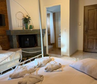 Mikro Papigko Hostel | Ikojenia Traditional Lodge