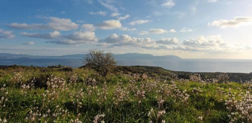 Platia Ammos Villa | Hidden Retreats Kythera