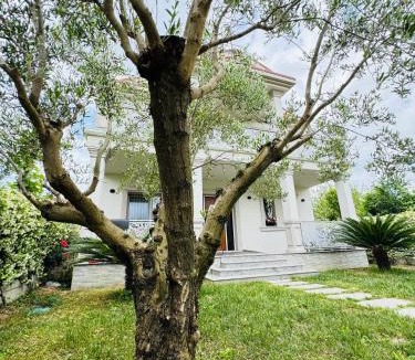 Kamez Villa | Villa Siena