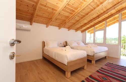 Berat Villa | Villa Dario Roshnik