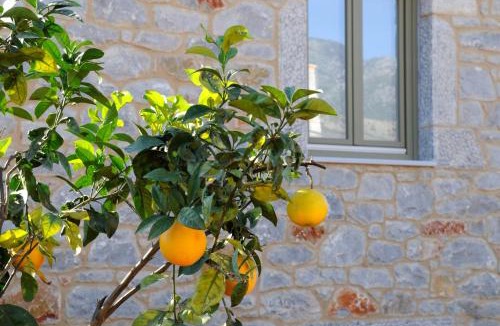 Lefktron House | Nikoloudi Estate