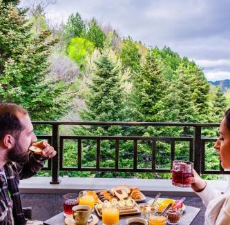 Metsovo Apartment | FLOARA DI MUNTE Forest Luxury Suites