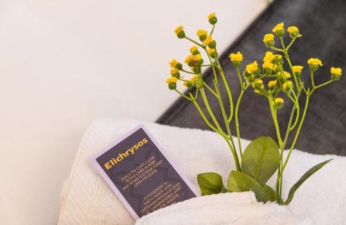 Metsovo Apartment | FLOARA DI MUNTE Forest Luxury Suites