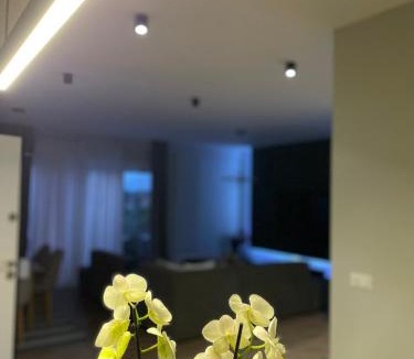 Mjull-Bathore Villa | Villa 22