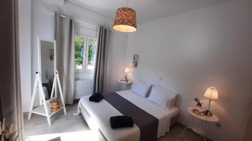 Paliki Apartment | Alekos Beach Houses-Alekos Beach Complex