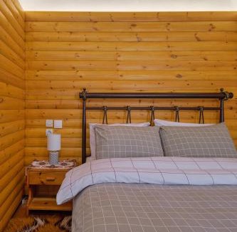 Monodendri Apartment | Archontiko Rapti Stone Traditional House