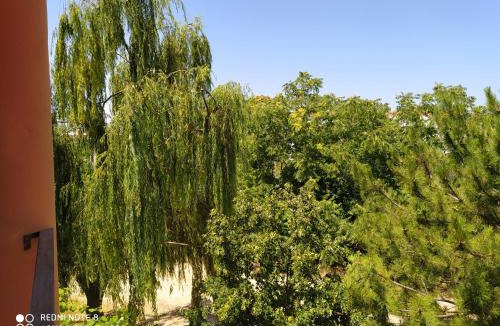 Limenaria Apartment | Morfili Villa