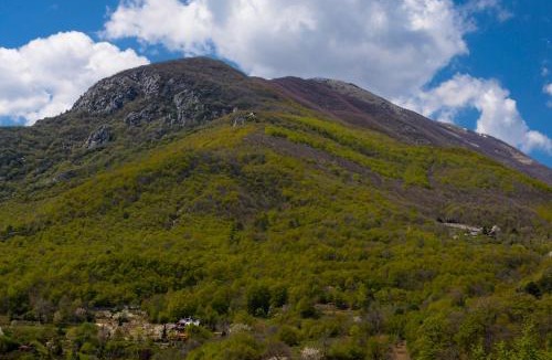 Naousa House | Militsa Guesthouse