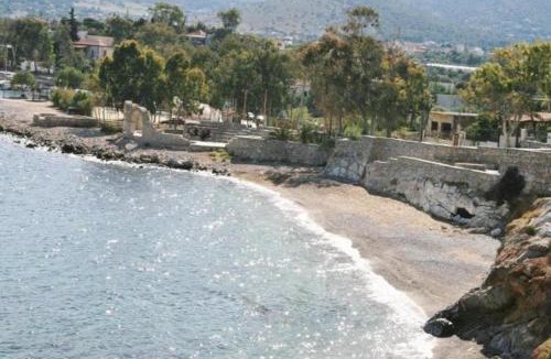 Selinia Villa | Mousonette