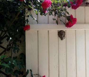 Eresos House | Arcadia Guesthouse