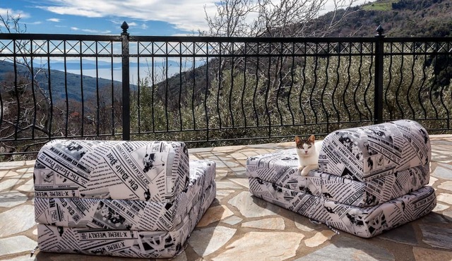 Drakeias Balcony Pelion in Drakia