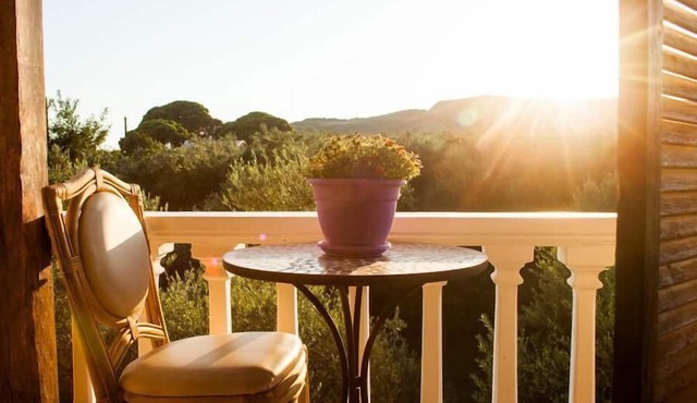 Areti Orfeas Studios in Zakynthos