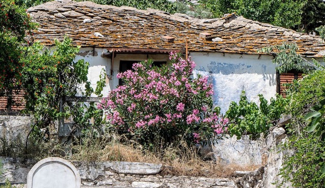 Theros Easy Living in Thasos