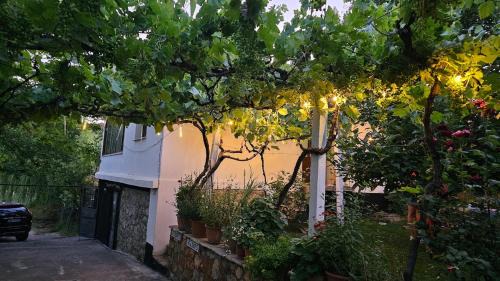 Holidayhome with 100% bio food in Maliq