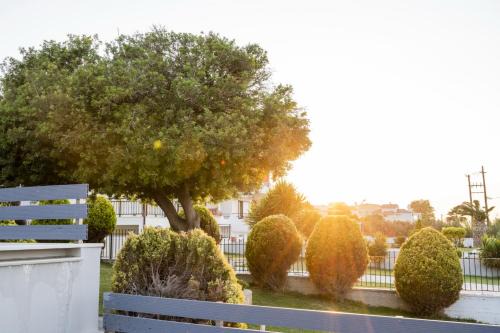 Theros Suites