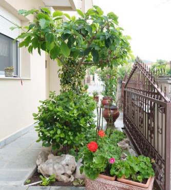 SMARO'S Philoxenia House - Eleftheroupoli in Eleftheroúpolis