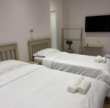 Villa Olive Berat in Berat
