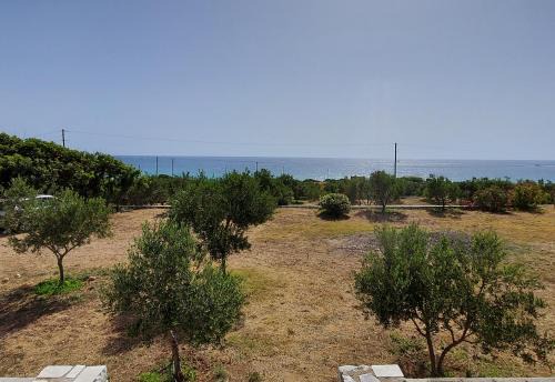 Doma Apartments