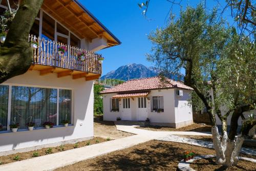 Villa Dario Guesthouse in Berat