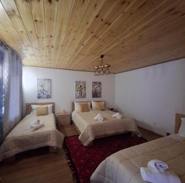 Villa Davisol in Theth