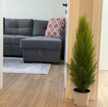 Emmas Place- Apartamenti modern por miqesor ne qender te Elbasanit in Elbasan