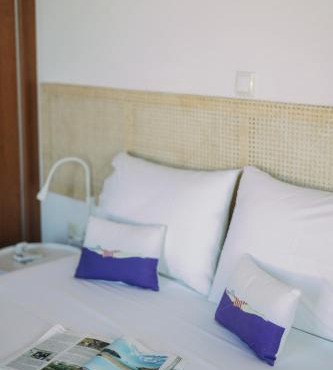 Mikra Bay Vineyard Guesthouses in Naxos Chora