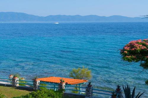 Kiparissi Villa Halkidiki in Aristotelis